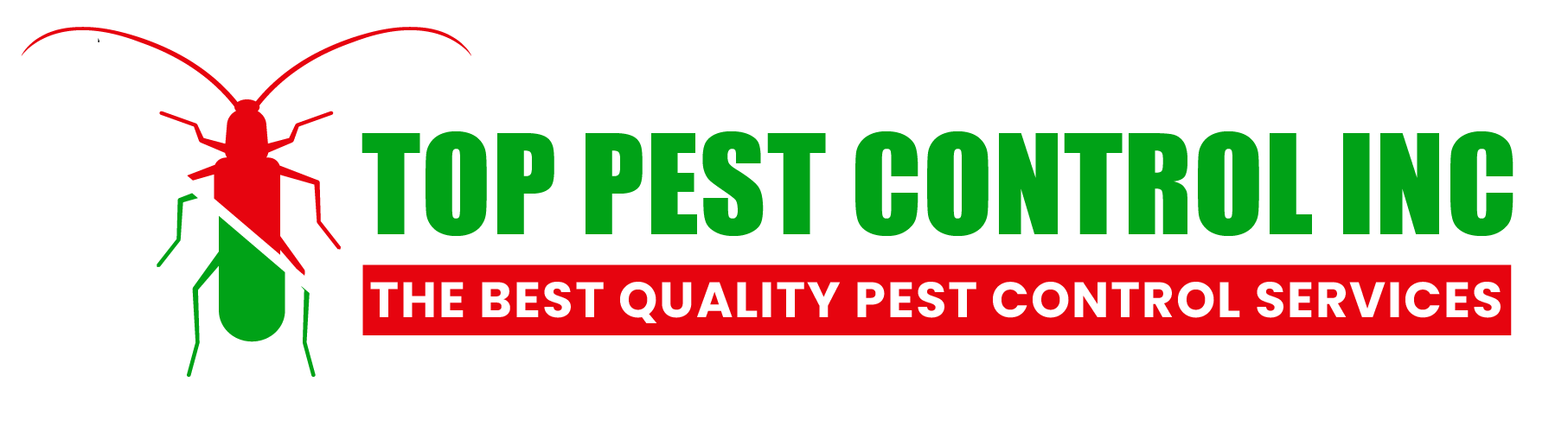 Common Pests In Canadian Homes: Identificatioon and Prevention - Topest.ca