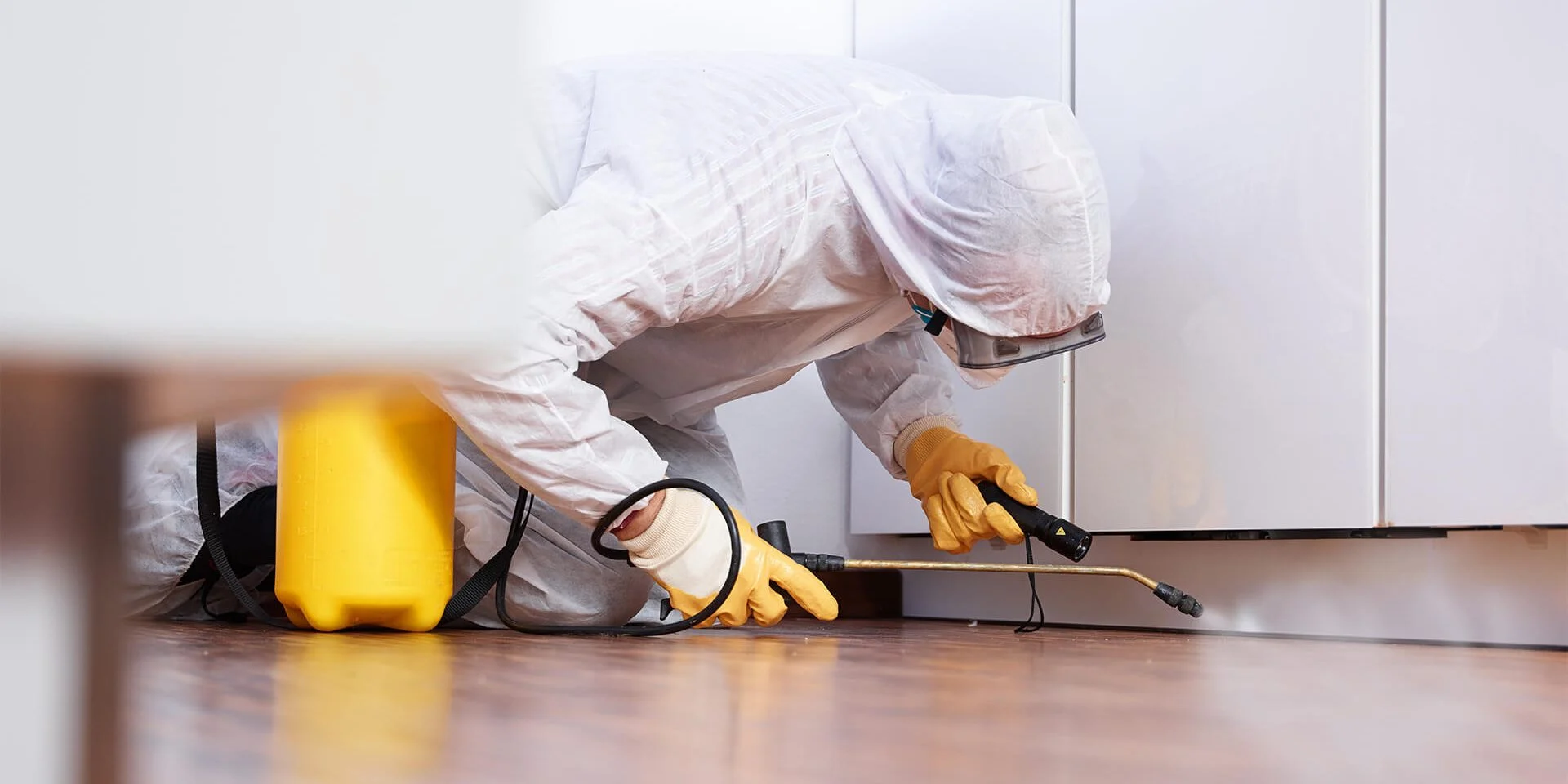 pest-prevention-in-vaughan